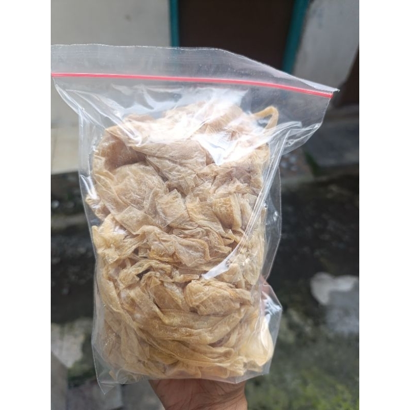 

Protolan Kembang Tahu