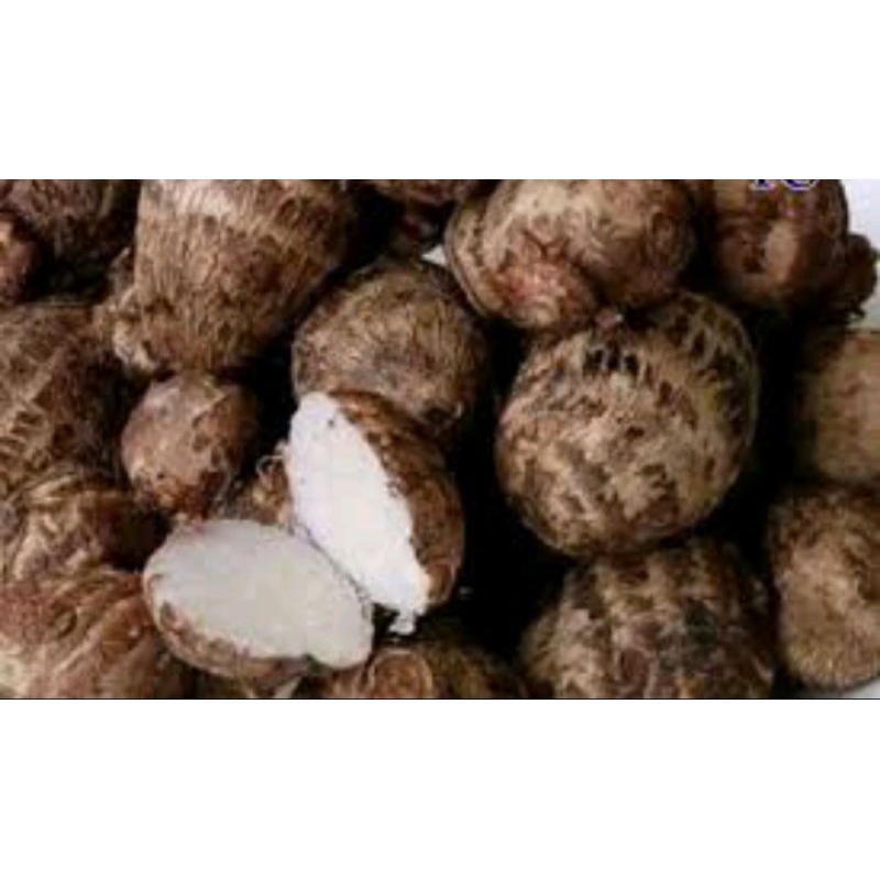 

talas belitung/perss murah 1 kg