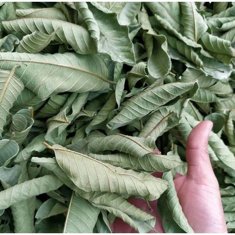 

DAUN JAMBU BIJI KERING Original - Isi 500 Gram / Setengah kilo