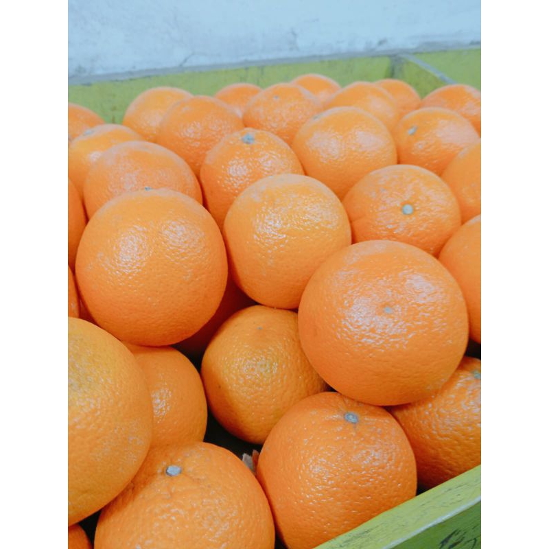 

Jeruk sunkis(1000g)