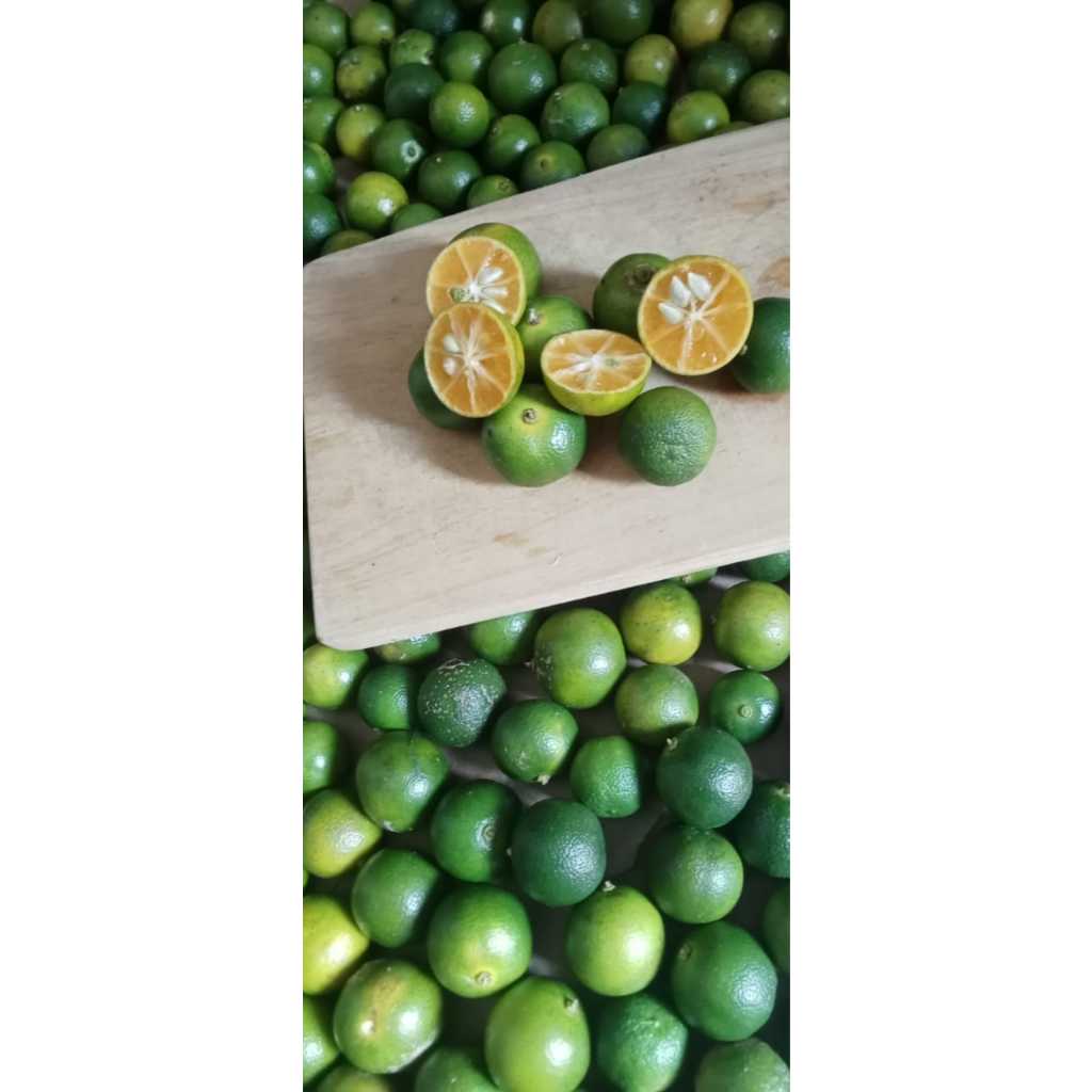 

Jeruk Peras Kasturi/Jeruk Sonkit 500gram/Jeruk lemon cui ukuran SEDANG