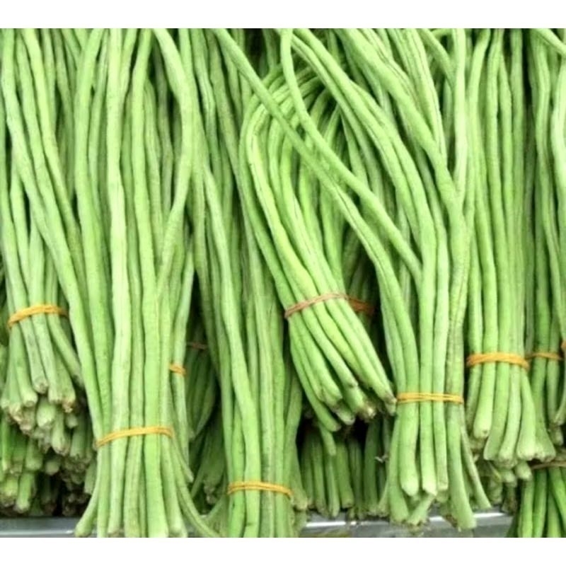 

Kacang panjang 200gr || KRIEGER