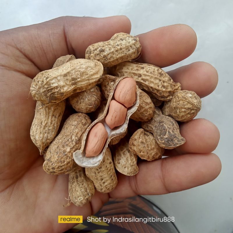 

Kacang tanah super premium semi kering (kemasan 1kg)