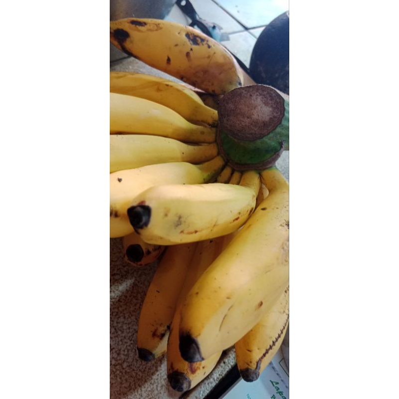 

pisang uli 1sisir