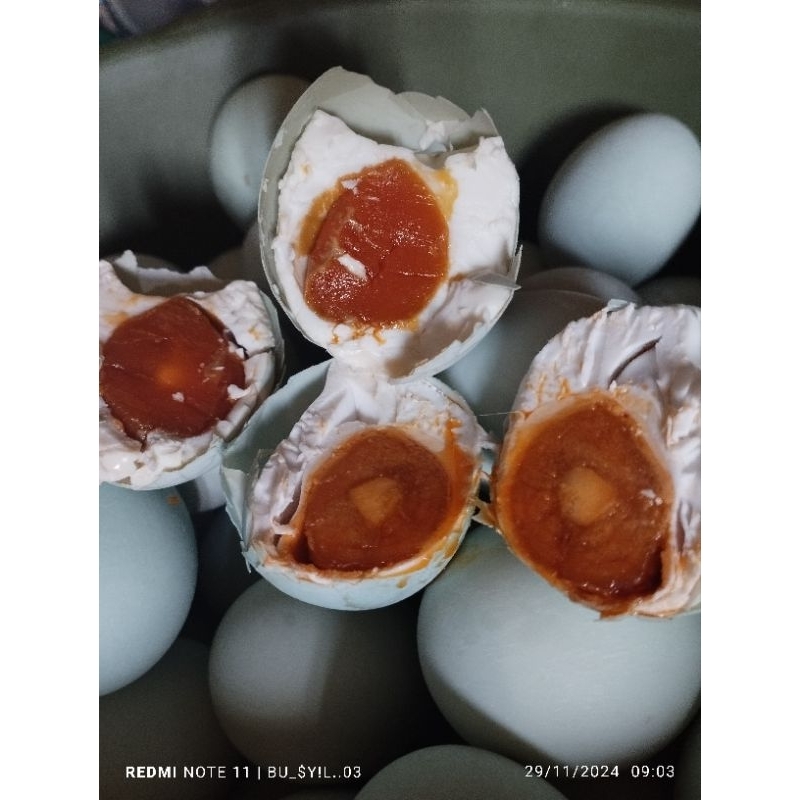 

TELUR ASIN OMEGA (BESAR) FRESH MASIR & BERMINYAK ENAK GURIH