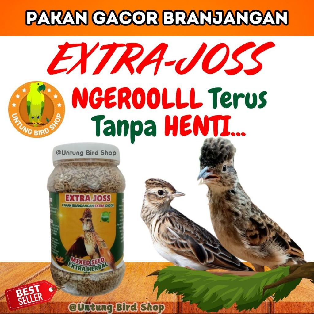 Pakan Burung Herbal Branjangan Gacor Pakan Branjangan Lomba Pakan Branjangan Harian Gacor EJHBR