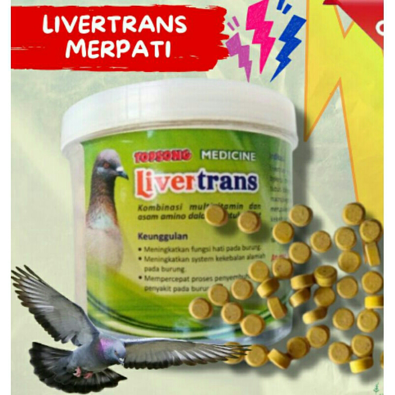 𝗜𝗦𝗧𝗔𝗥𝗙𝗜 - LIVERTRANS TOPSONG MULTIVITAMIN Vitamin Burung Merpati Balap ( harga per 1 biji )