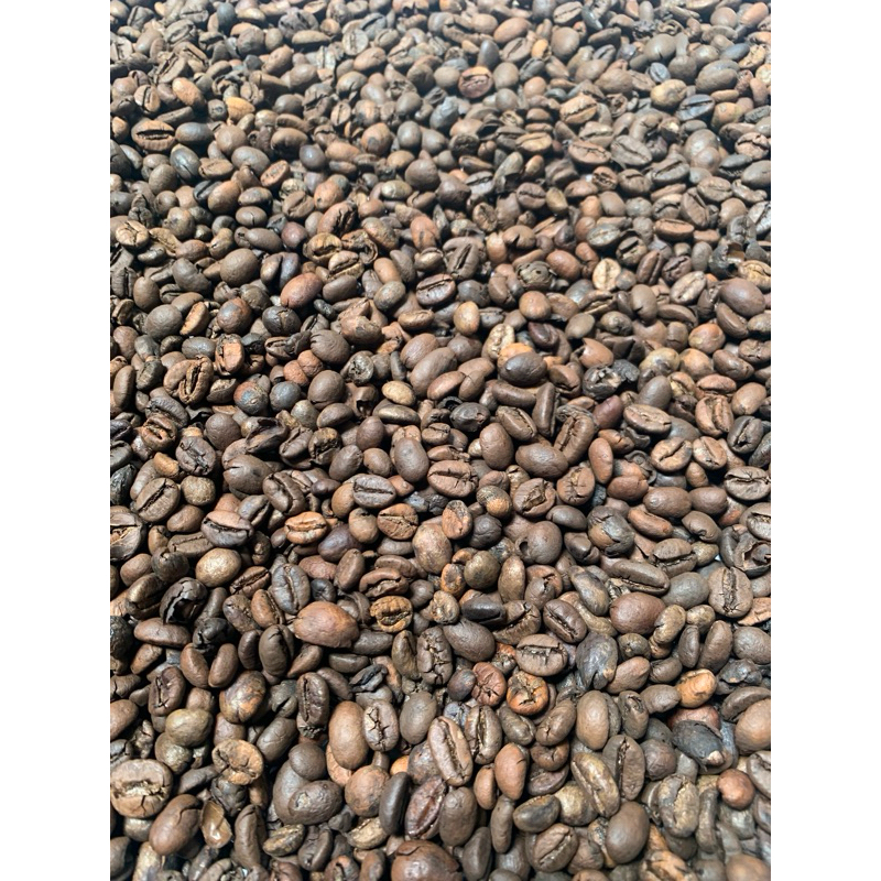 

BIJI KOPI ASLI ROBUSTA KOTA BATUSANGKAR