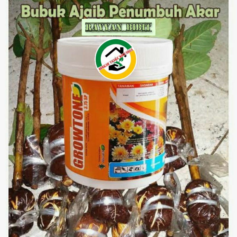 Penumbuh akar tanaman growtone obat stek cangkok mempercepat pertumbuhan akar
