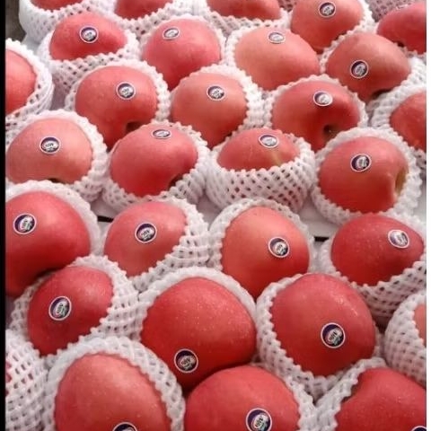 

Apel fuji blush alfha 1 kg