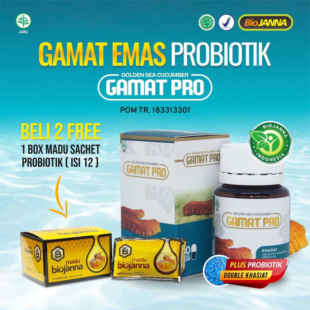 Gamat Emas-Gamat Kapsul-Kapsul Gamat Emas PLUS Probiotik