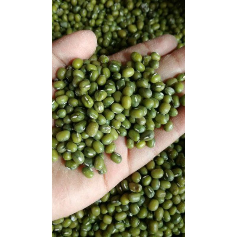 

Kacang Hijau / Kemasan 1kg / free BubleWrap