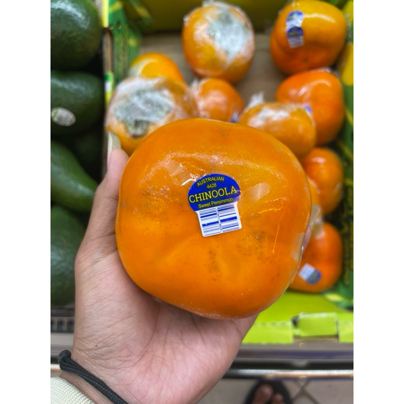 

Buah persimon kesemek | Persimon chinoola australia fresh 1 kg