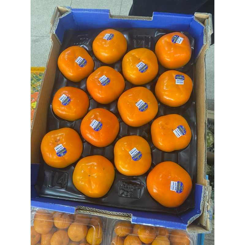 

Buah persimon kesemek | Persimon chinoola australia fresh -+3,8 kg/ box
