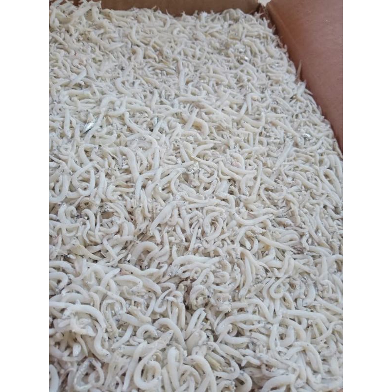 

IKAN TERI TOGE //TERI NASI KASAR// TERI MEDAN//250gr