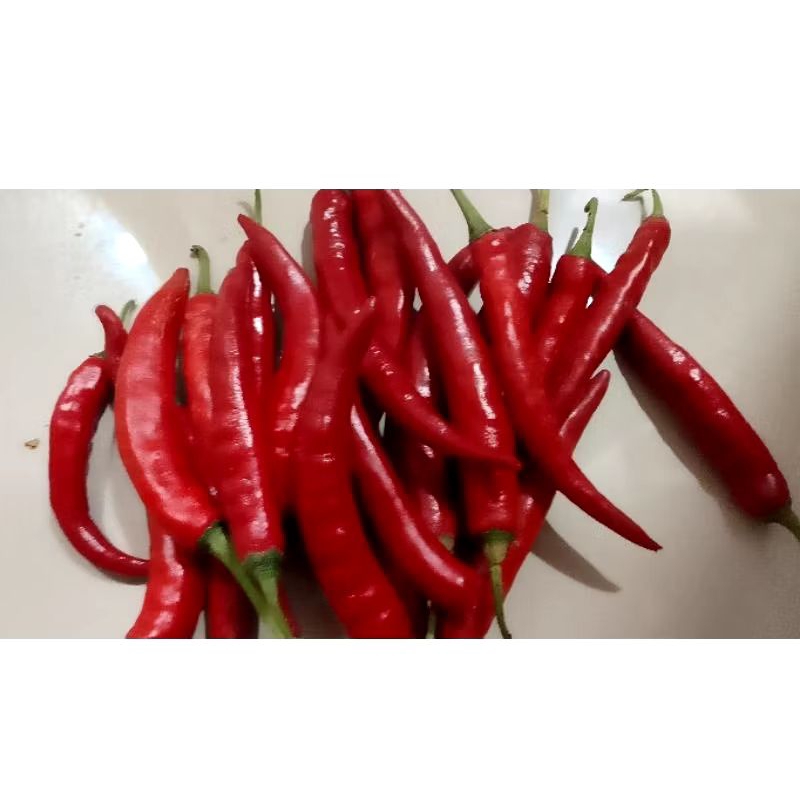 

CABE MERAH TW 250GR / SEPEREMPAT CABAI BESAR BESAR