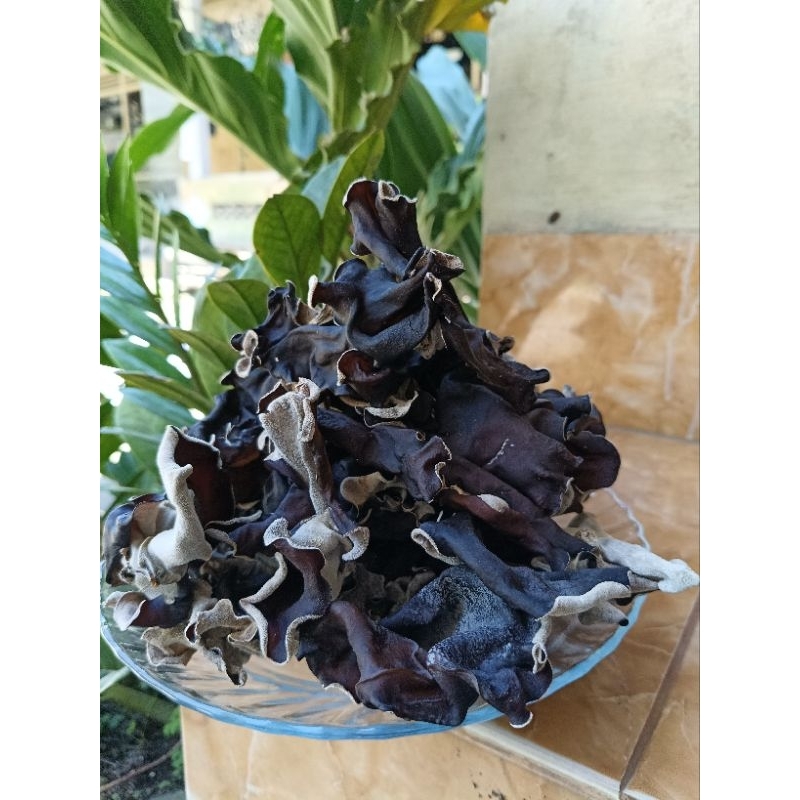 

Jamur Kuping Kering 100g | Jamur Kuping Kering