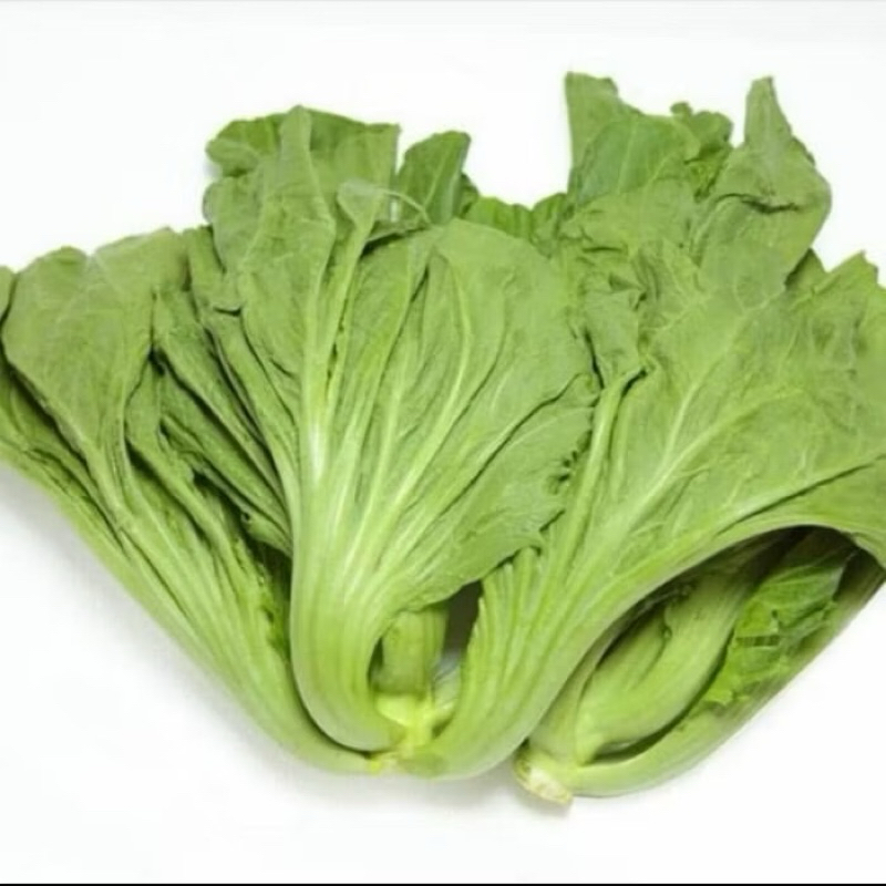 

Sayur Pahit Fresh Perkilo