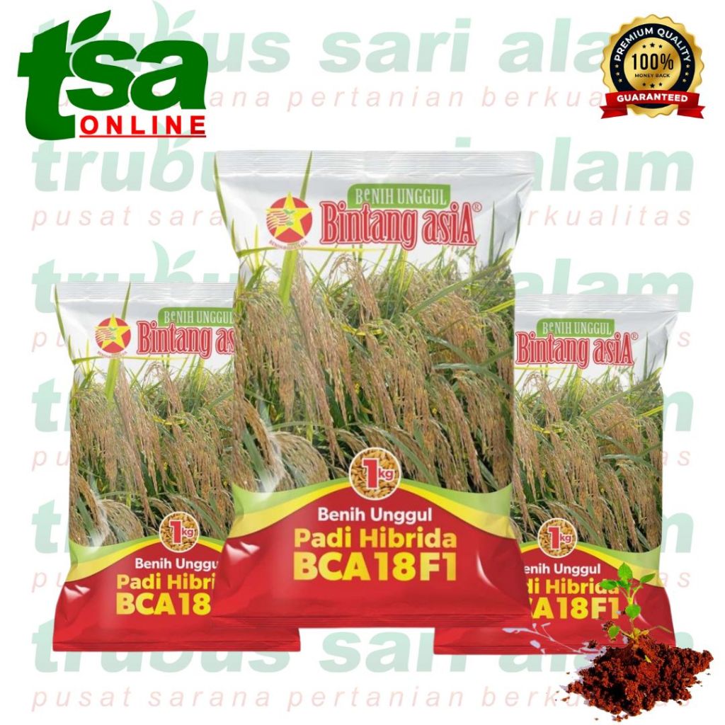 Benih Padi Hibrida BCA 18 F1 Kemasan 1kg dari BCA (benih citra asia)