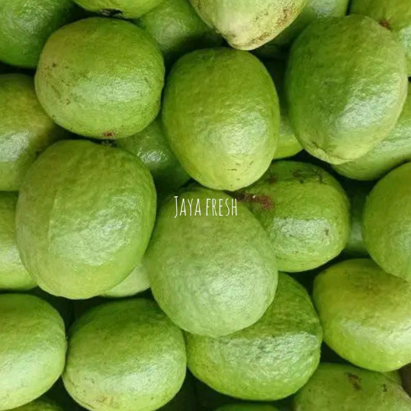 

Jambu Biji Merah Fresh 1kg Kualitas Super