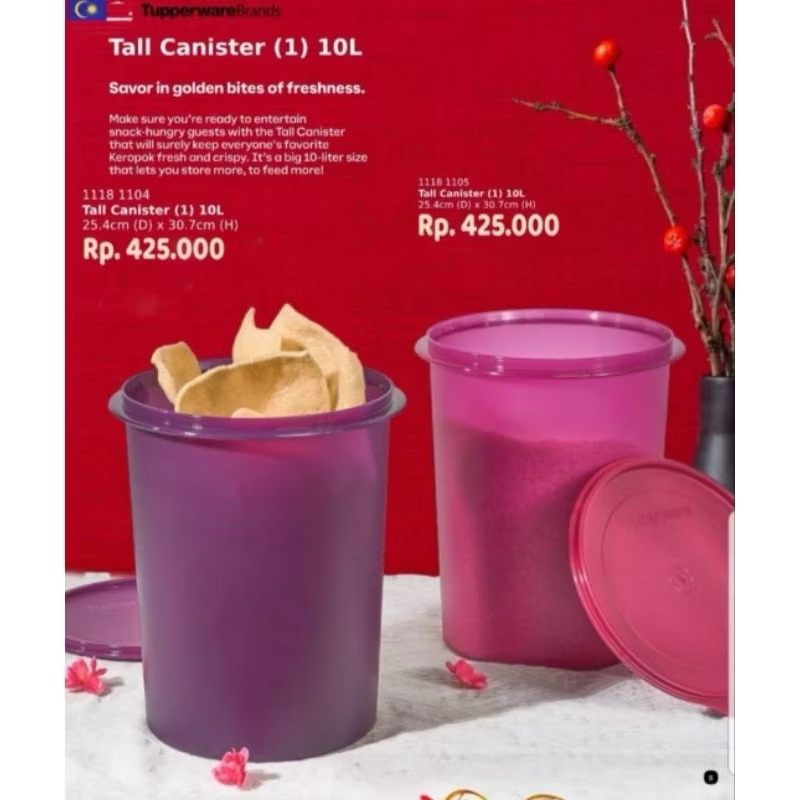 tall canister tupperware 10L