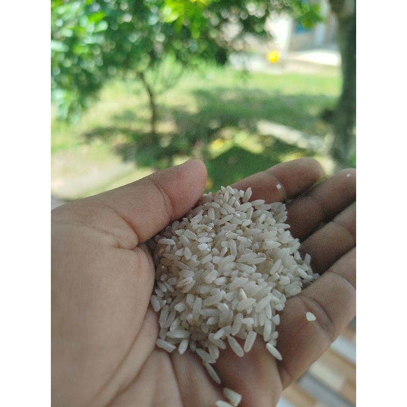 

Beras pulen Beras asli langsung dari petani