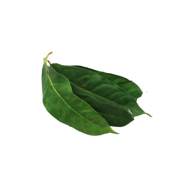 

Daun Salam Segar 1 Pack Bumbu Dapur Alami Untuk Masakan Sayur Sop Nasi Goreng & Tumisan