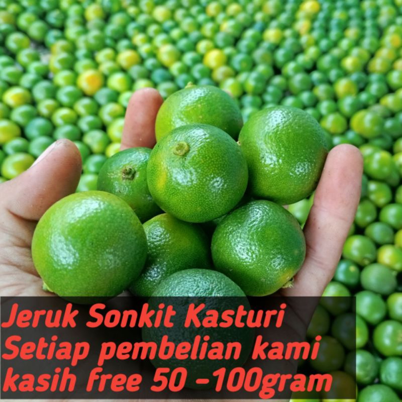 

Jeruk sonkit Kasturi/jeruk_kunci_kip Cui/ peras Bogor