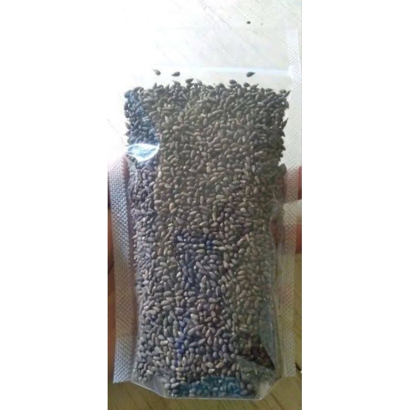 BENIH BALSA SUPER / BIJI BALSA/  250GRAM / BENIH BALSA PREMIUM / BIJI BALSA SIAP SEMAI / BENIH BIJI 