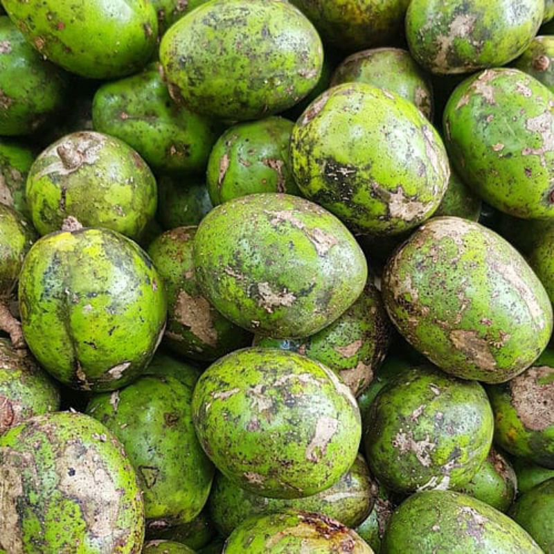 

1KG KEDONDONG FRESH KEDONDONG fresh