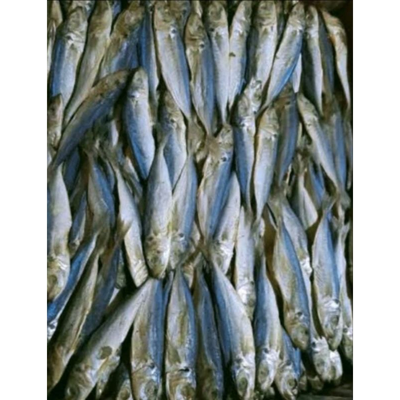 

Ikan Klotok Sedang 250gr Pengiriman Instan Siap Olah Untuk Lauk Pendamping Nasi dan Masakan Lezat