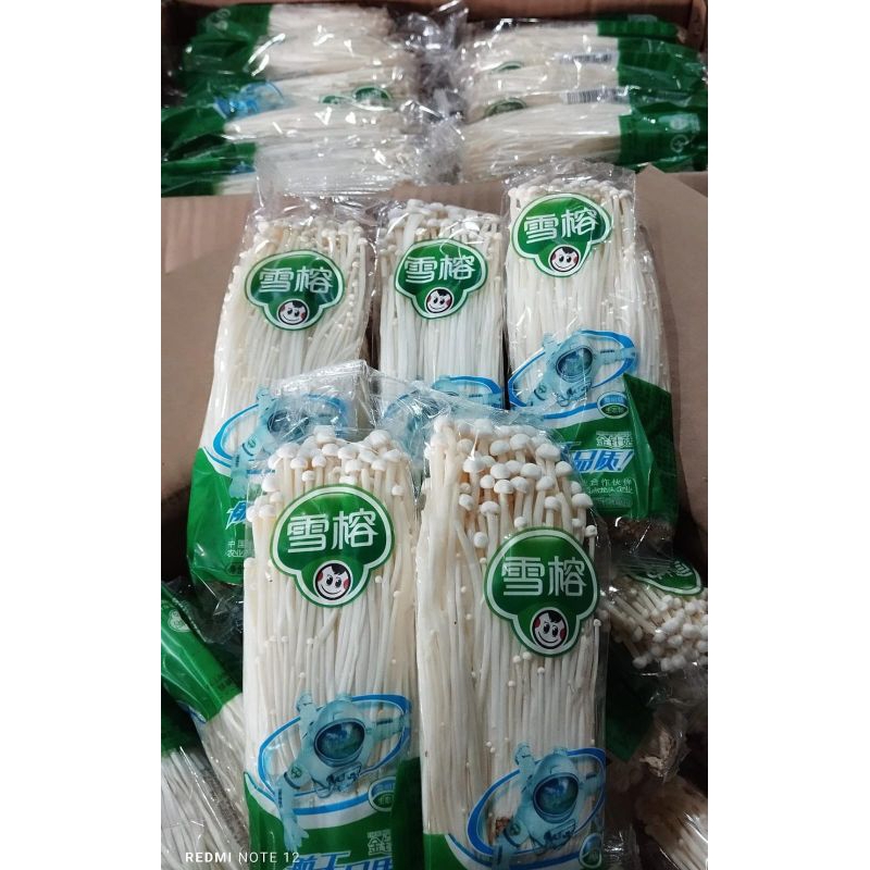 

jamur enoki