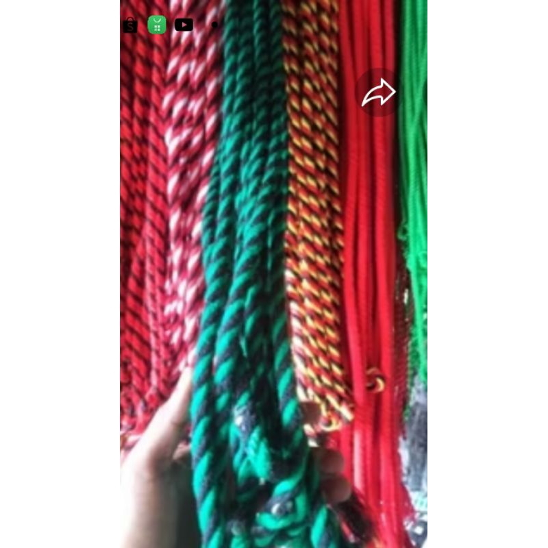 TALI KELUH HIDUNG SAPI