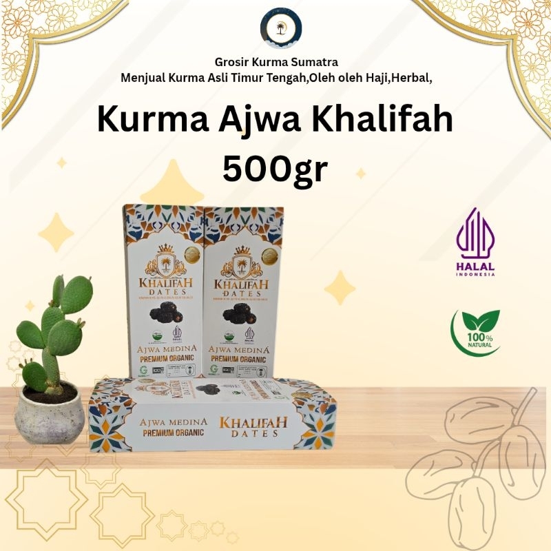 

Kurma Ajwa Premium Khalifah 500gr - Kurma Timur Tengah