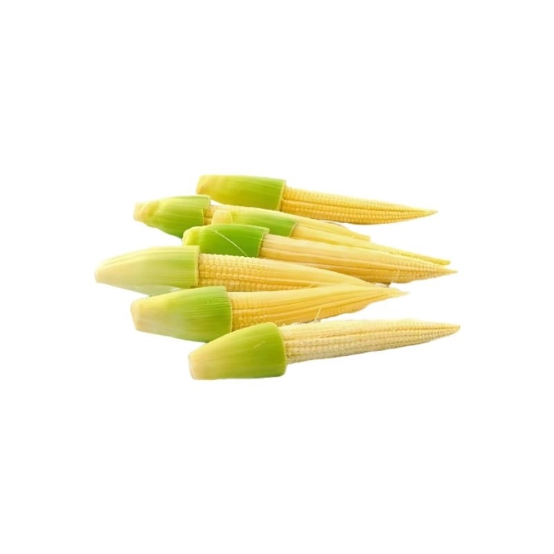 

Baby Corn Jagung Kecil