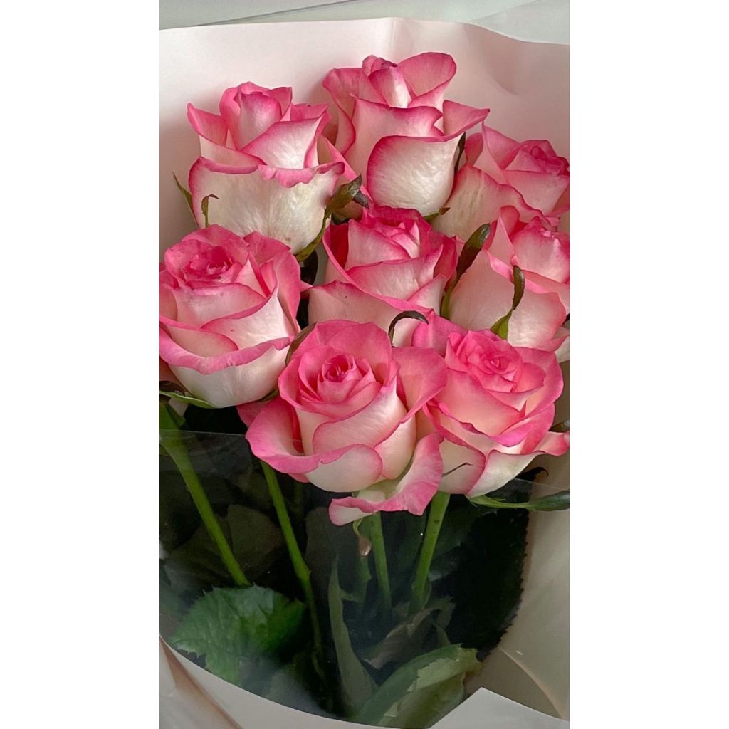 Bunga Potong Rose Jumilia/Rose import vietnam/fresh flower murah/bunga potong murah