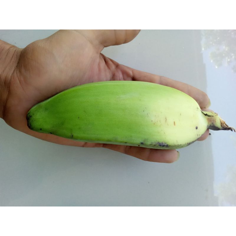 

pisang kepok per 1biji