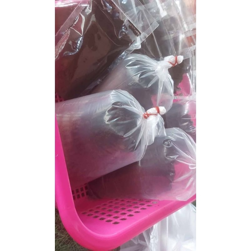 

kopi sidikalang asli tanpa campuran 100gr