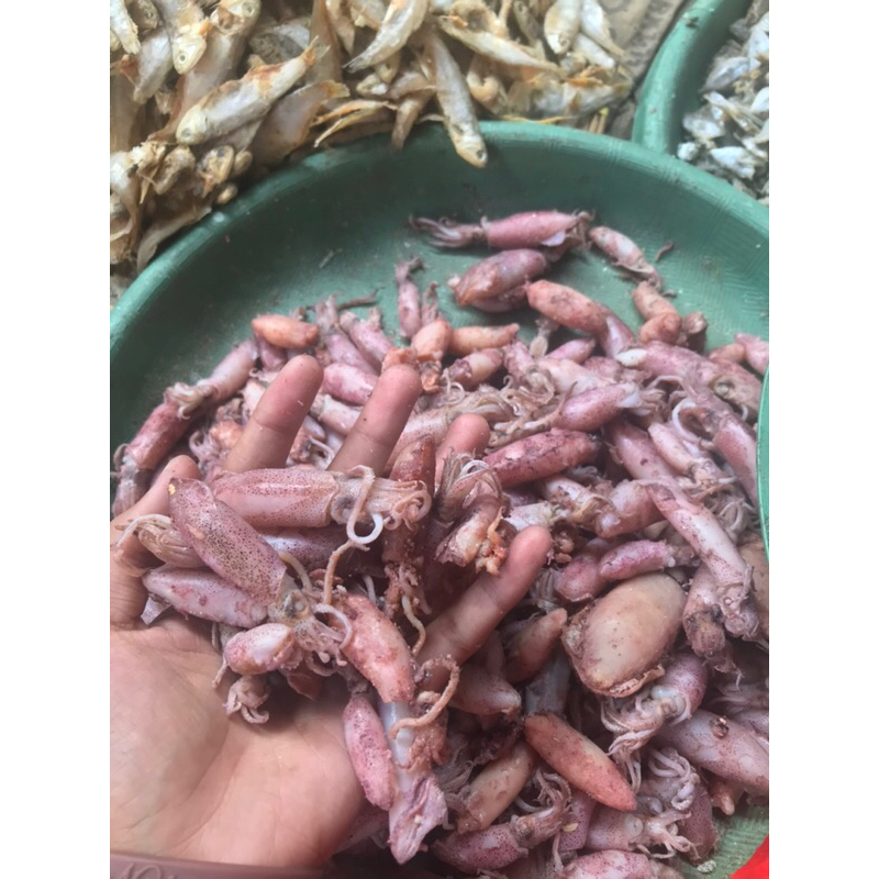 

IKAN ASIN CUMI REBUS TIDAK TERLALU ASIN 500Gram/1KG