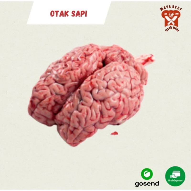 

Otak sapi segar lokal utuh per biji Rp 68.000,-