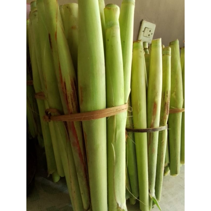 

Terubuk turubuk sayur tebu telur/1kg chat sebelum co.