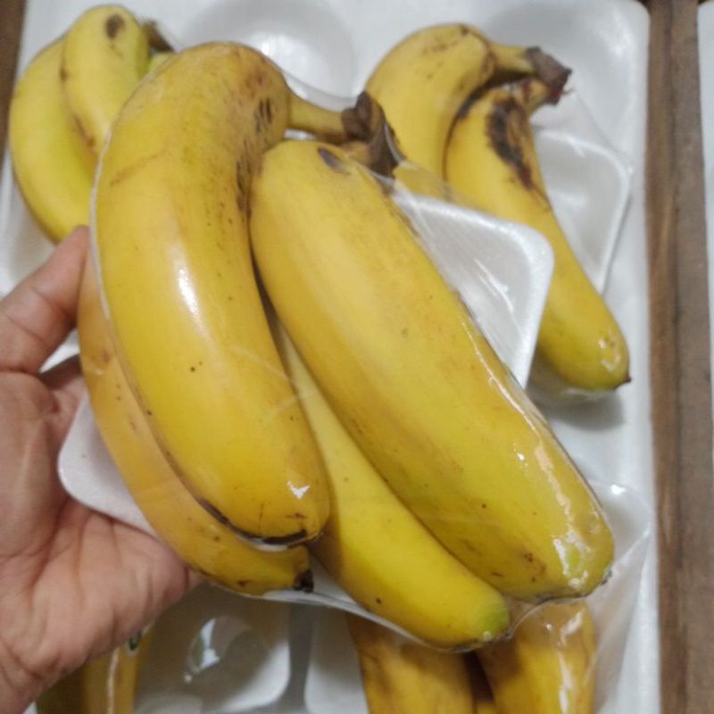 

Pisang Cavendish Pack isi 4-5 biji
