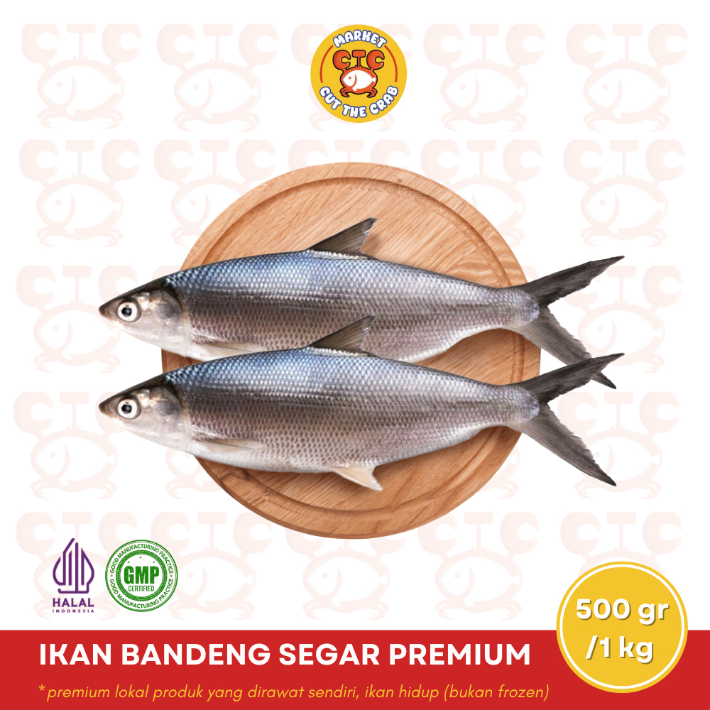

IKAN BANDENG SEGAR HIDUP (bukan frozen) 500gr/1kg | PREMIUM LOKAL PRODUCT