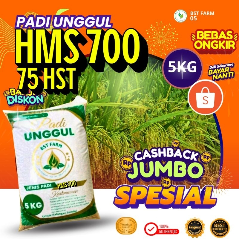 Benih Padi Bibit padi HMS700 Kemasan 5 kg