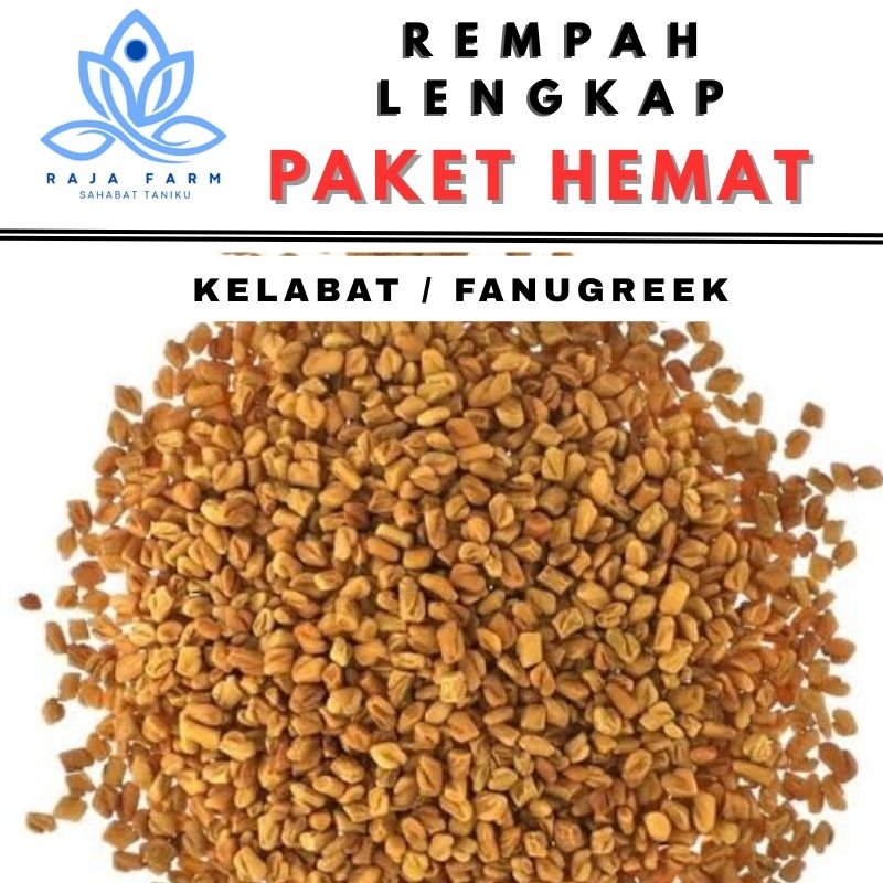 

Kelabet Fanugreek Rempah Kelabat Obat Herbal Untuk Diabetes dan Hipertensi