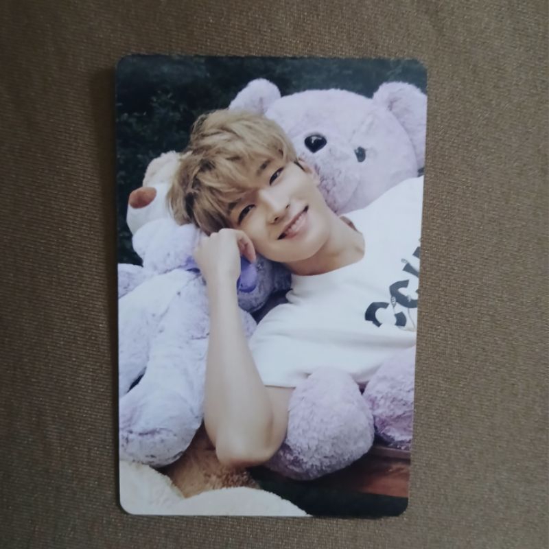 Wonwoo dicon Seventeen Photocard
