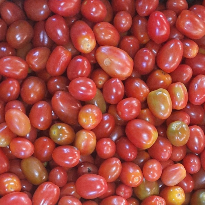 

Tomat Merah - Sayur Omstore