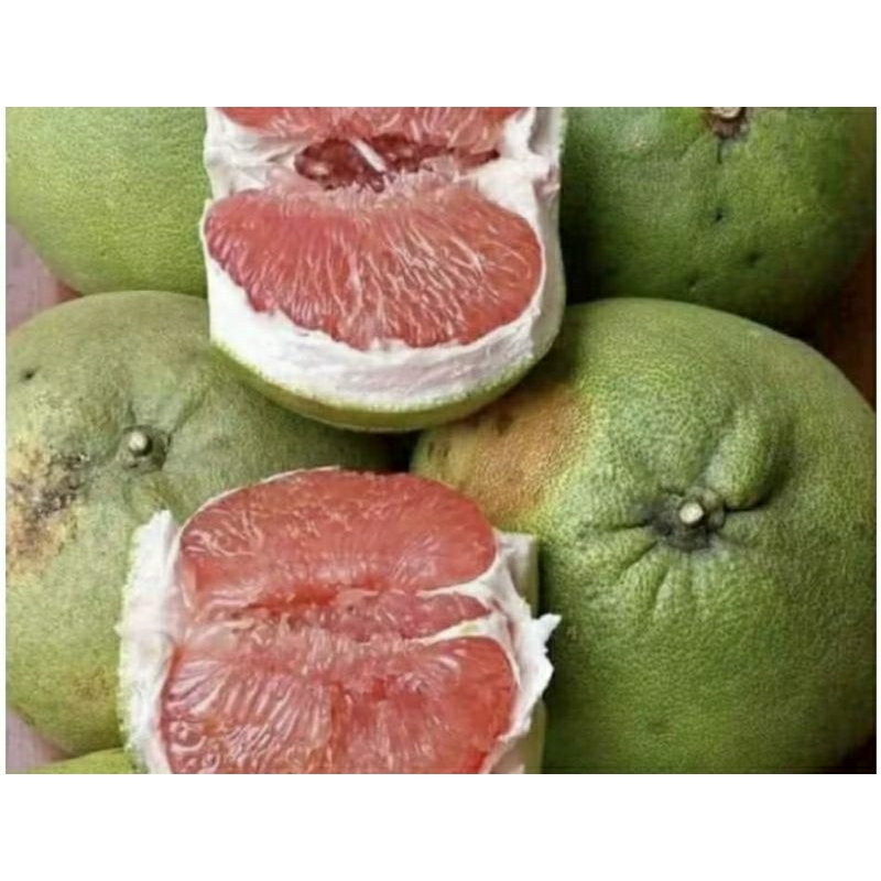 

paket hemat 3 jeruk pamelo madu miria berat 1,5kg hanya 100k