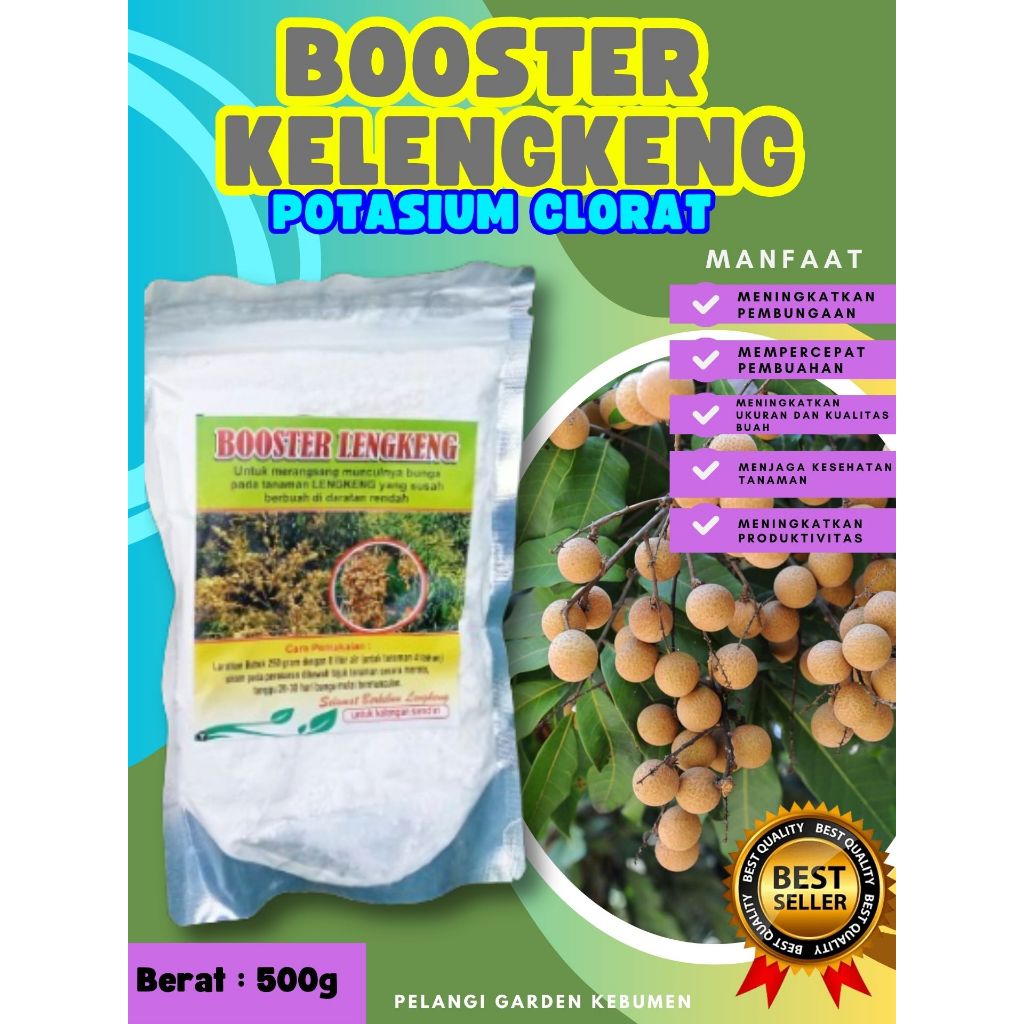 PROMO  Booster Kelengkeng Merah Cangkok Berbuah, Booster Kelengkeng Matalada, Booster Kelengkeng Mer