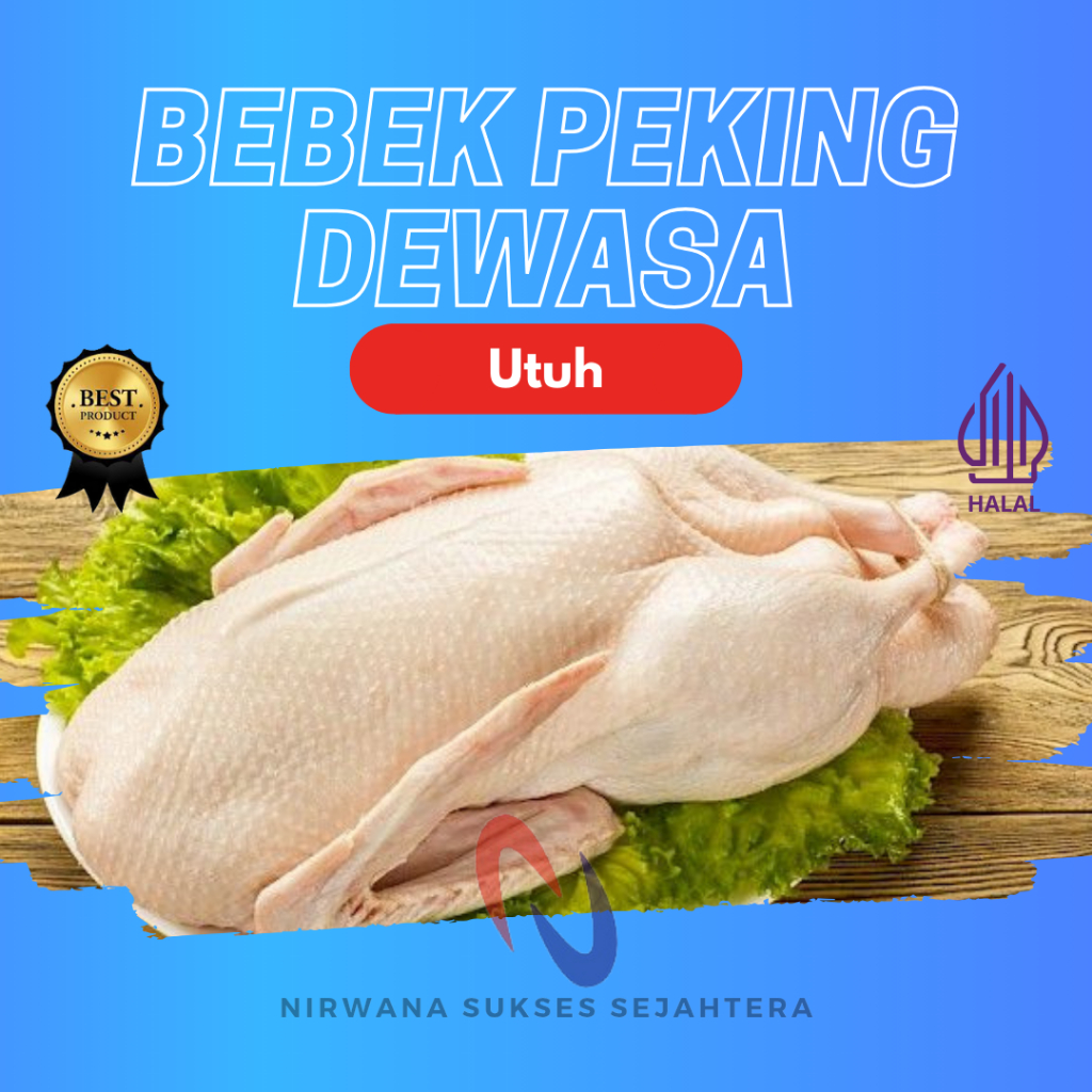 

BEBEK PEKING DEWASA UTUH / WHOLE PEKING FULL DUCK